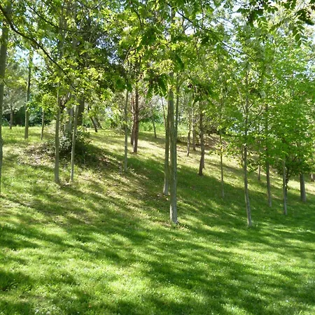 Vivace トレンティーノ